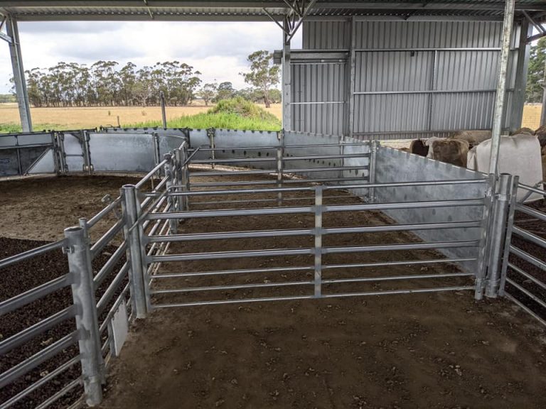 Sheep Yards – Australian Stockyard Co