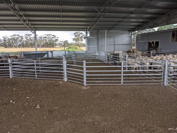 Sheep Yards – Australian Stockyard Co